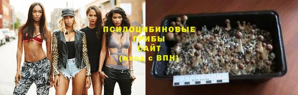 ГАЛЛЮЦИНОГЕННЫЕ ГРИБЫ Яранск