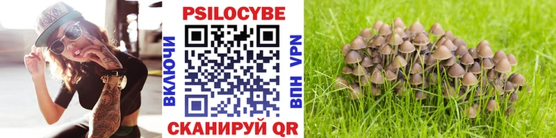 Псилоцибиновые грибы Psilocybine cubensis  Байкальск 